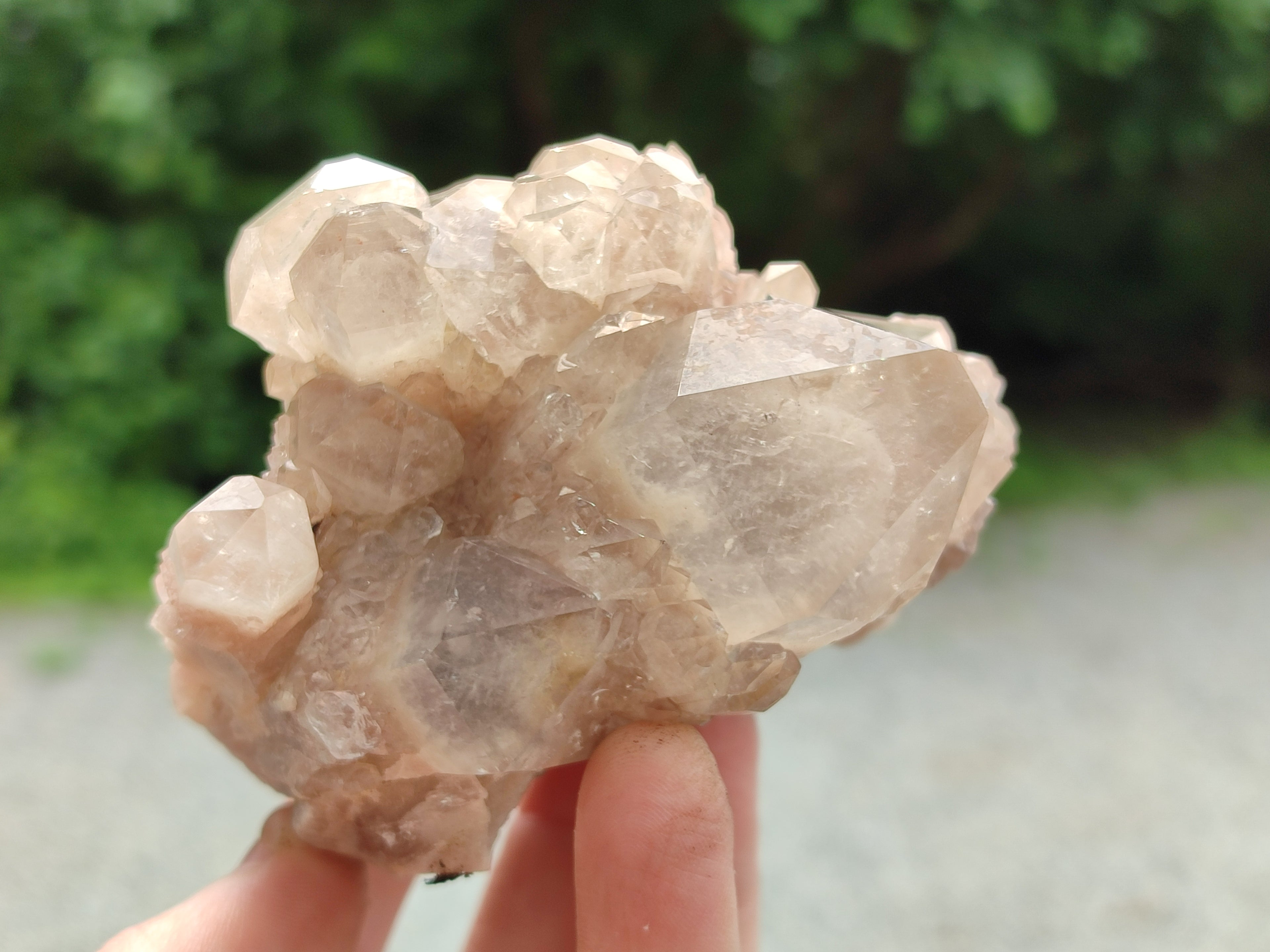Natural Smokey Phantom Quartz Clusters x 2 From Luena, Congo - Toprock Gemstones and Minerals 