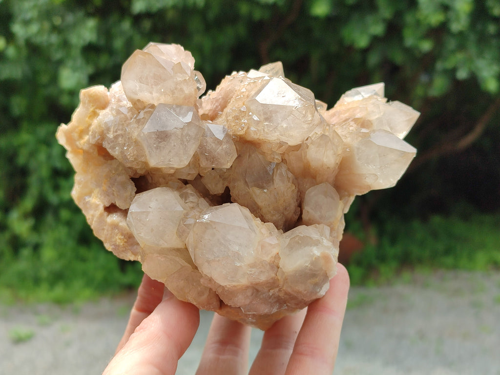 Natural Smokey Phantom Quartz Clusters x 2 From Luena, Congo - Toprock Gemstones and Minerals 