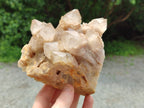 Natural Smokey Phantom Quartz Clusters x 2 From Luena, Congo - Toprock Gemstones and Minerals 