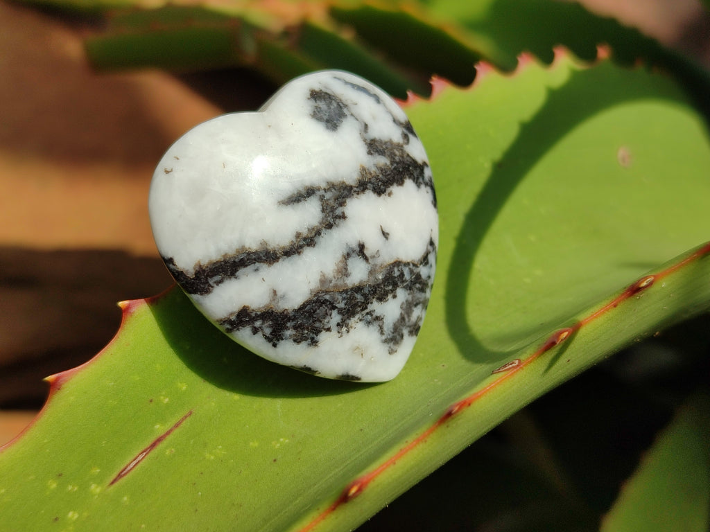 Polished Zebra Marble Gemstone Hearts - sold per item - From China - Toprock Gemstones and Minerals 