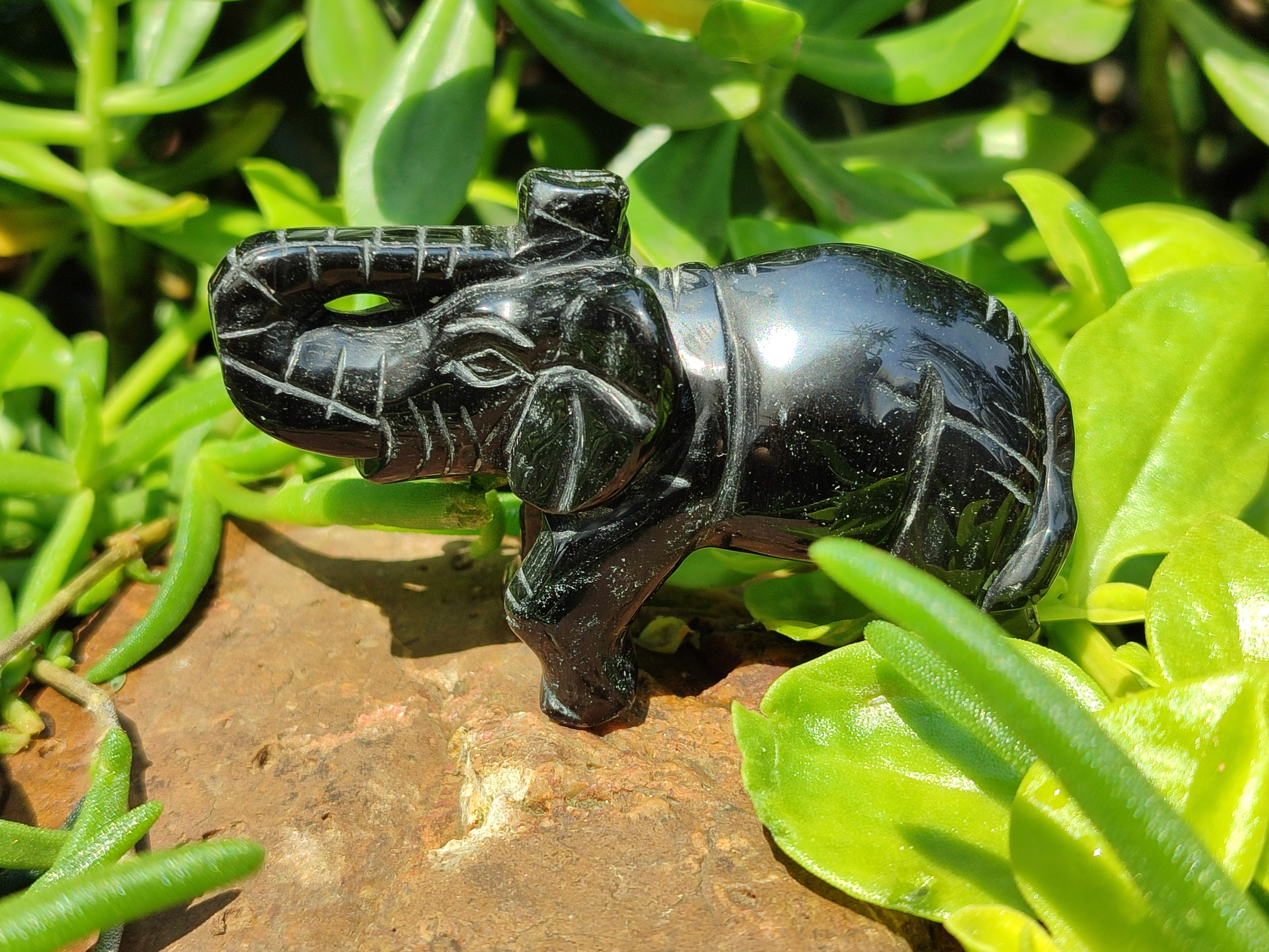 Polished Black Onyx Elephant Carvings - sold per item - From Brazil - Toprock Gemstones and Minerals 