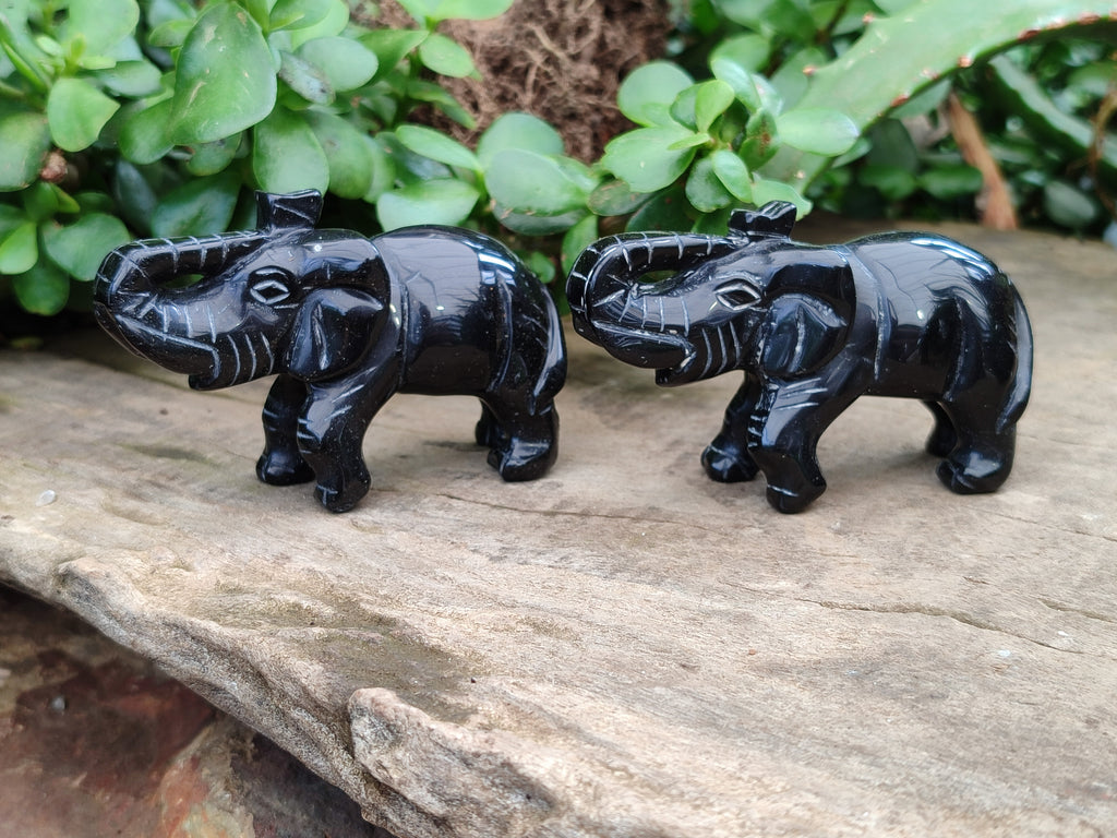 Polished Black Onyx Elephant Carvings - sold per item - From Brazil - Toprock Gemstones and Minerals 