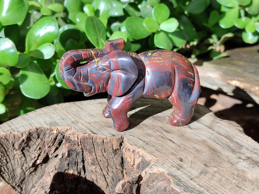Polished Tiger Iron Banded Ironstone Jasper Elephant Carving - sold per item - From Australia - Toprock Gemstones and Minerals 