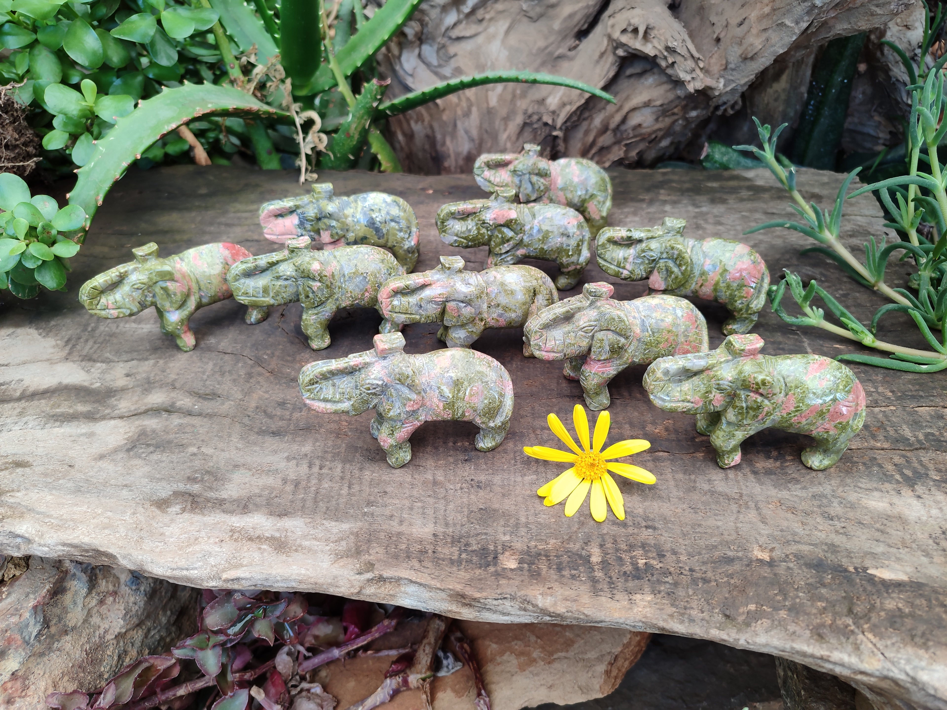 Polished Unakite Elephant Carving - sold per item - From South Africa - Toprock Gemstones and Minerals 