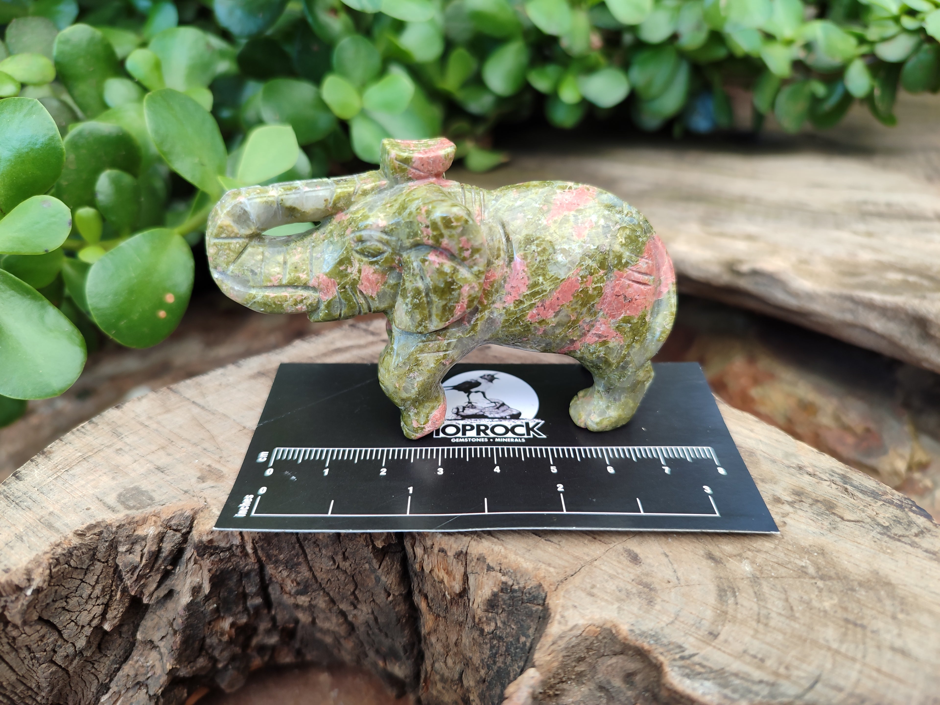 Polished Unakite Elephant Carving - sold per item - From South Africa - Toprock Gemstones and Minerals 