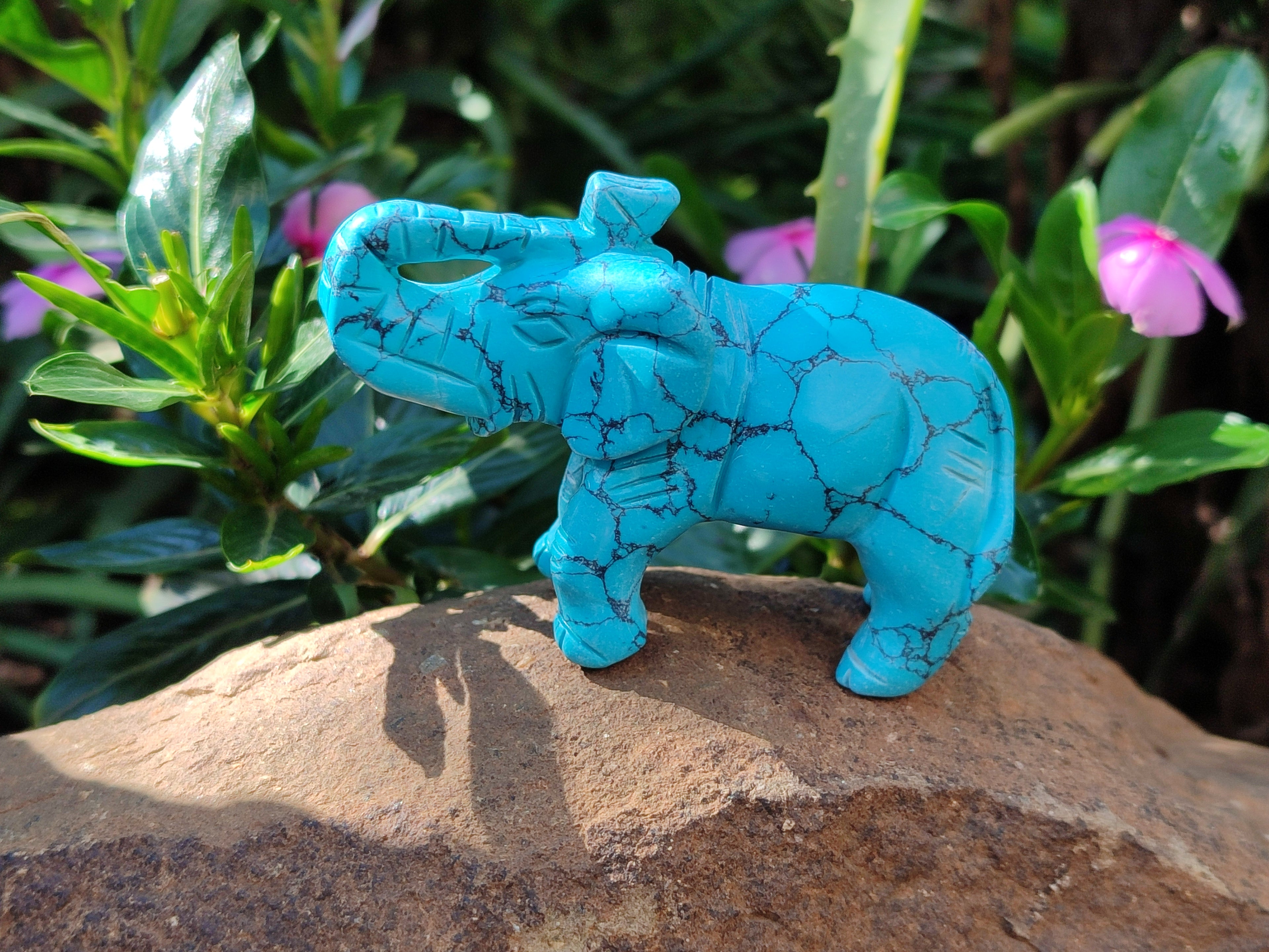 Polished Blue Howlite Elephant Carving - sold per item - From Zimbabwe - Toprock Gemstones and Minerals 