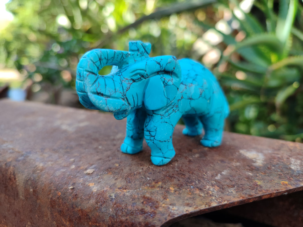 Polished Blue Howlite Elephant Carving - sold per item - From Zimbabwe - Toprock Gemstones and Minerals 
