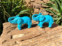 Polished Blue Howlite Elephant Carving - sold per item - From Zimbabwe