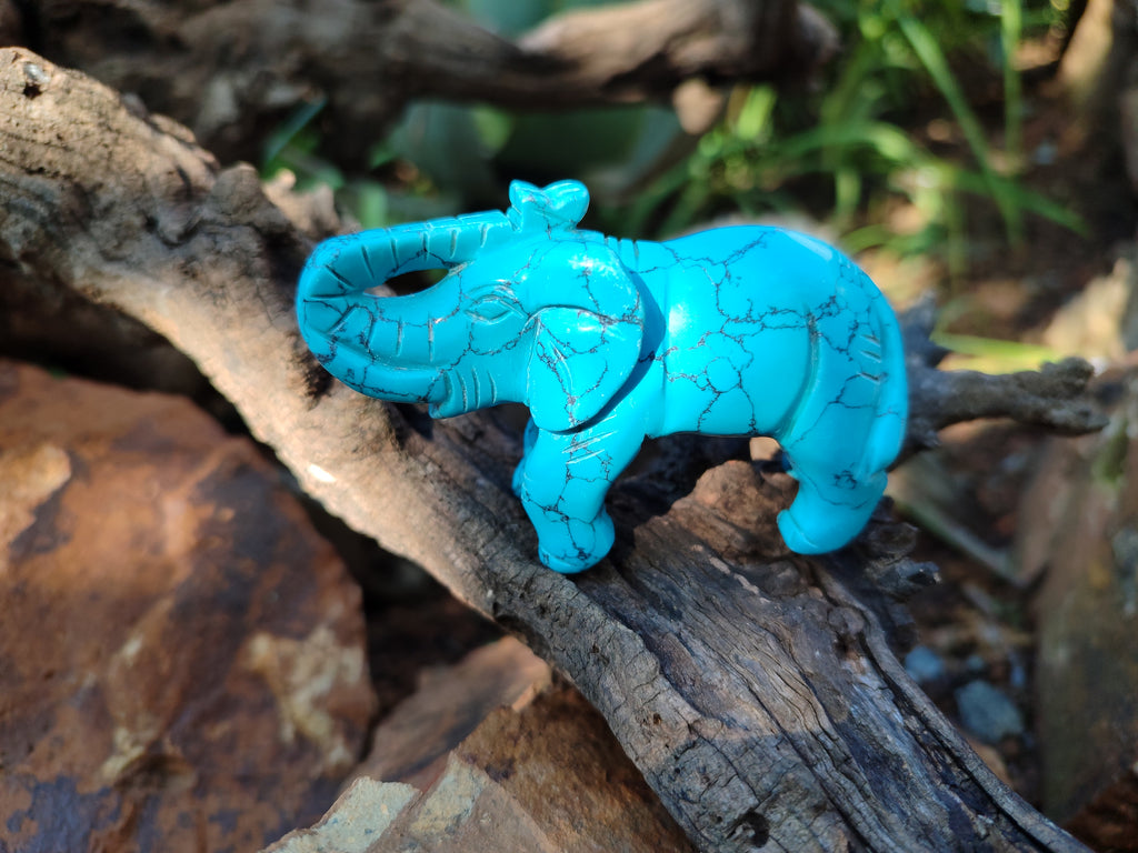 Polished Blue Howlite Elephant Carving - sold per item - From Zimbabwe - Toprock Gemstones and Minerals 