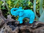 Polished Blue Howlite Elephant Carving - sold per item - From Zimbabwe - Toprock Gemstones and Minerals 