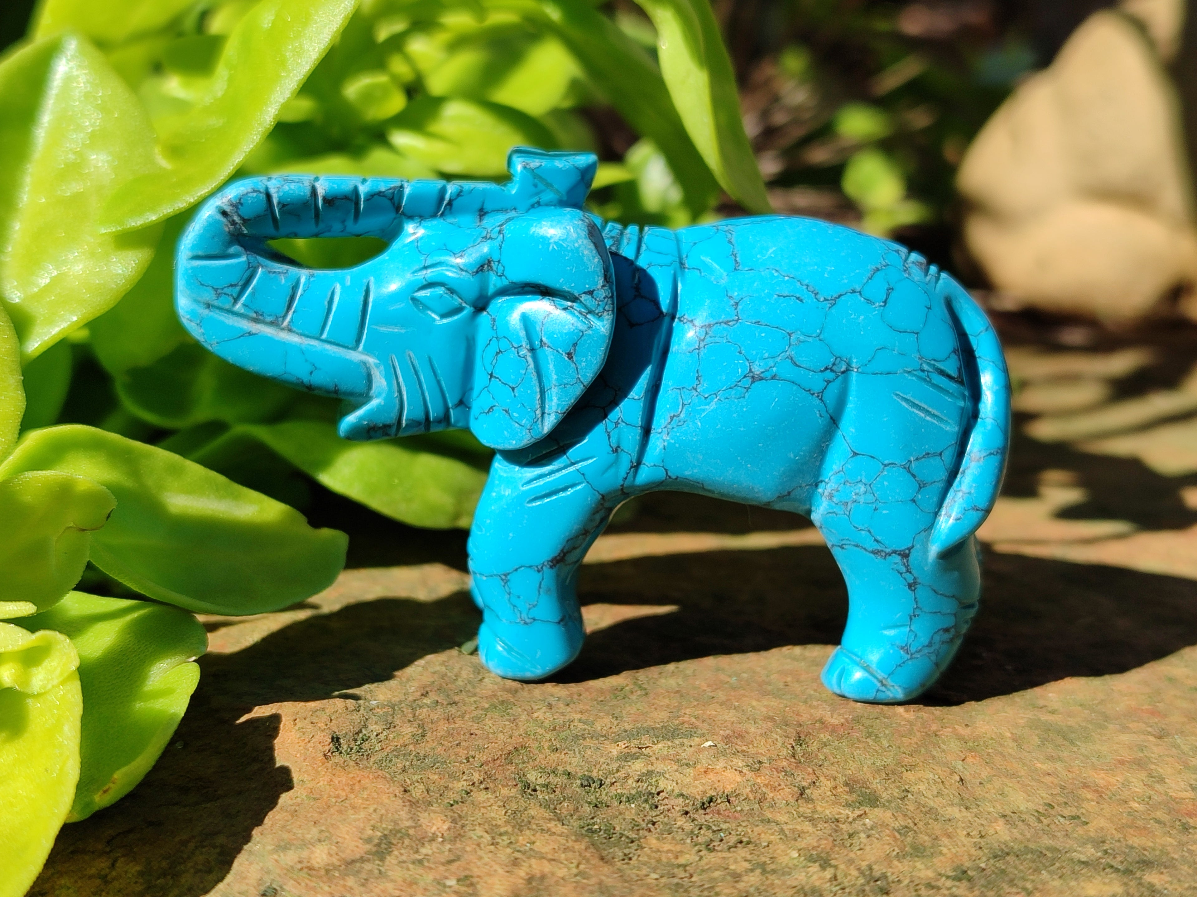 Polished Blue Howlite Elephant Carving - sold per item - From Zimbabwe - Toprock Gemstones and Minerals 