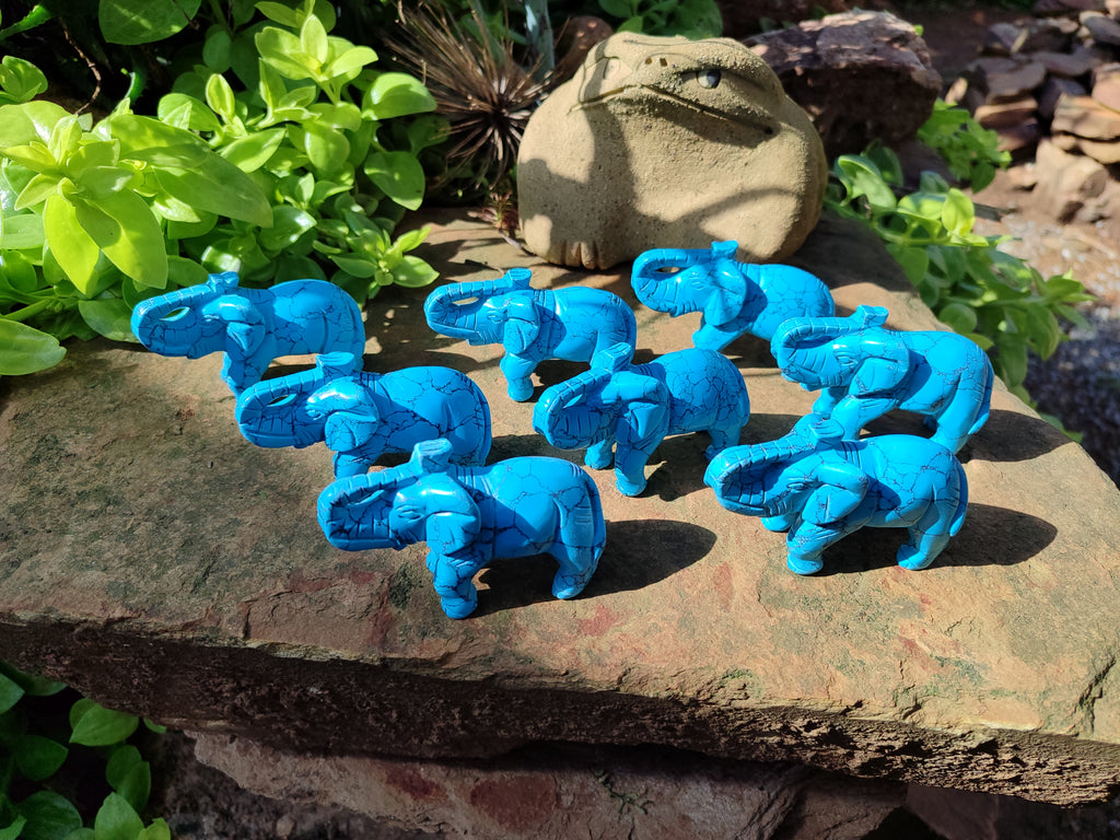 Polished Blue Howlite Elephant Carving - sold per item - From Zimbabwe - Toprock Gemstones and Minerals 