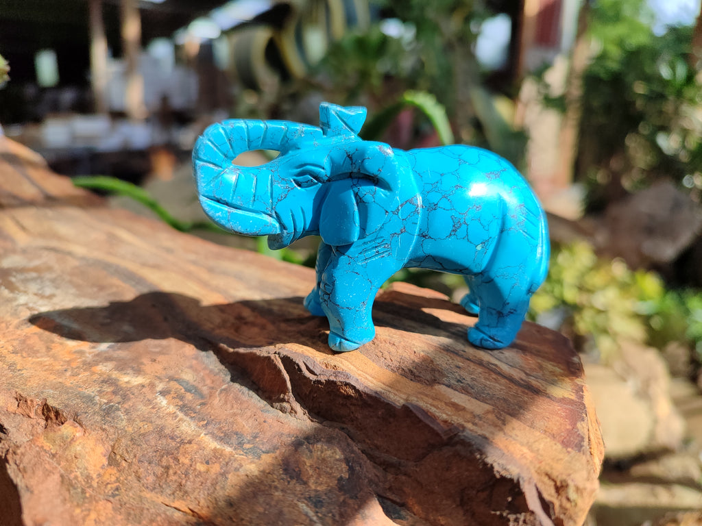 Polished Blue Howlite Elephant Carving - sold per item - From Zimbabwe - Toprock Gemstones and Minerals 