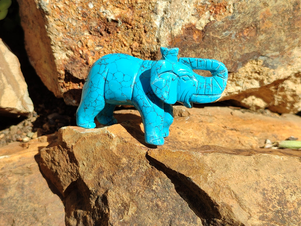 Polished Blue Howlite Elephant Carving - sold per item - From Zimbabwe - Toprock Gemstones and Minerals 