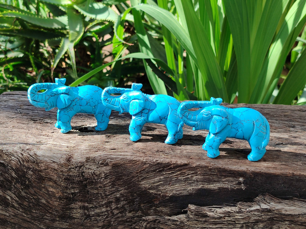 Polished Blue Howlite Elephant Carving - sold per item - From Zimbabwe - Toprock Gemstones and Minerals 