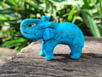 Polished Blue Howlite Elephant Carving - sold per item - From Zimbabwe - Toprock Gemstones and Minerals 
