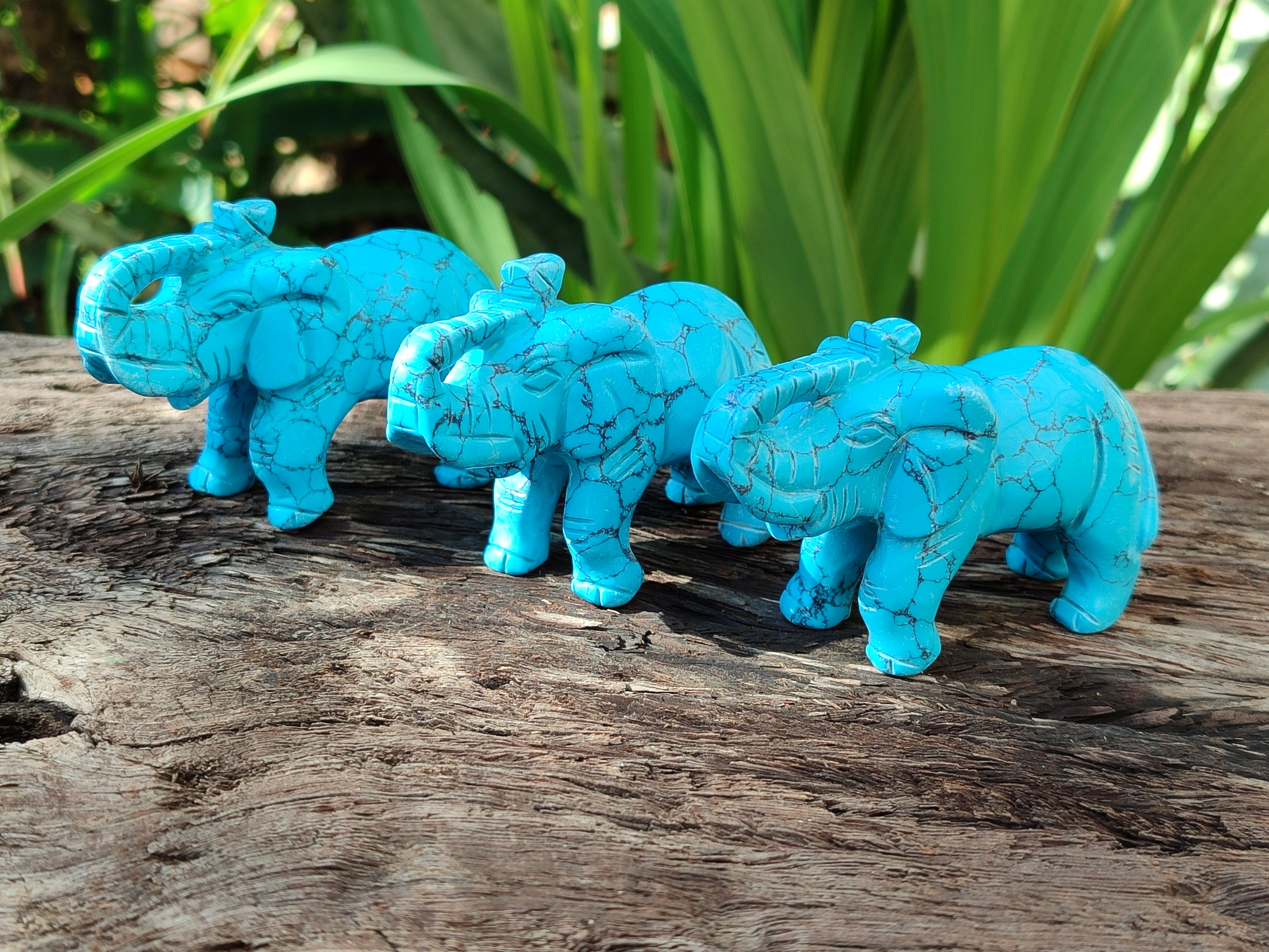 Polished Blue Howlite Elephant Carving - sold per item - From Zimbabwe - Toprock Gemstones and Minerals 