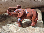 Polished Mahogany Obsidian Elephant Carving - sold per item - From USA - Toprock Gemstones and Minerals 