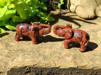 Polished Mahogany Obsidian Elephant Carving - sold per item - From USA
