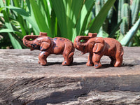 Polished Mahogany Obsidian Elephant Carving - sold per item - From USA