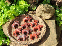 Polished Brecciated Jasper Elephant Carving - sold per item - From South Africa