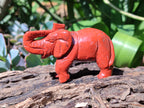 Polished Red Jasper Elephant Carving - sold per item - From South Africa - Toprock Gemstones and Minerals 
