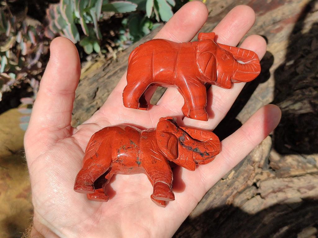 Polished Red Jasper Elephant Carving - sold per item - From South Africa - Toprock Gemstones and Minerals 