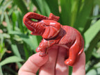 Polished Red Jasper Elephant Carving - sold per item - From South Africa - Toprock Gemstones and Minerals 