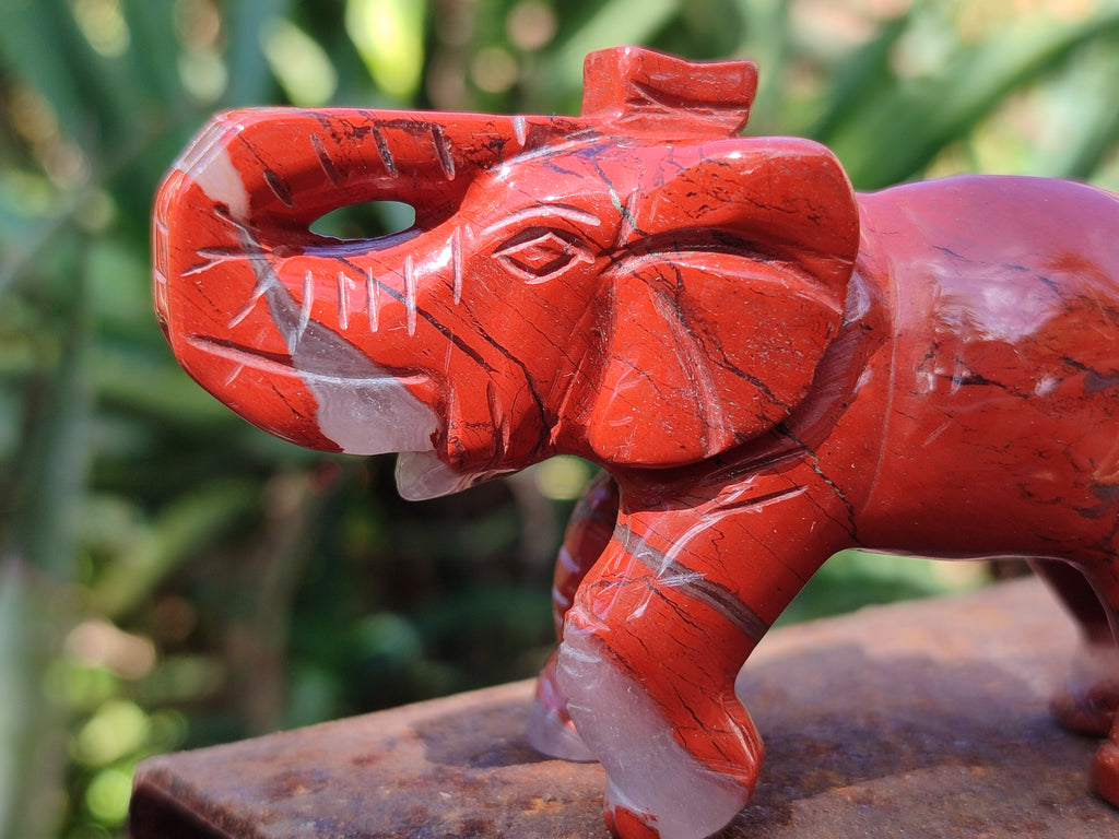 Polished Red Jasper Elephant Carving - sold per item - From South Africa - Toprock Gemstones and Minerals 