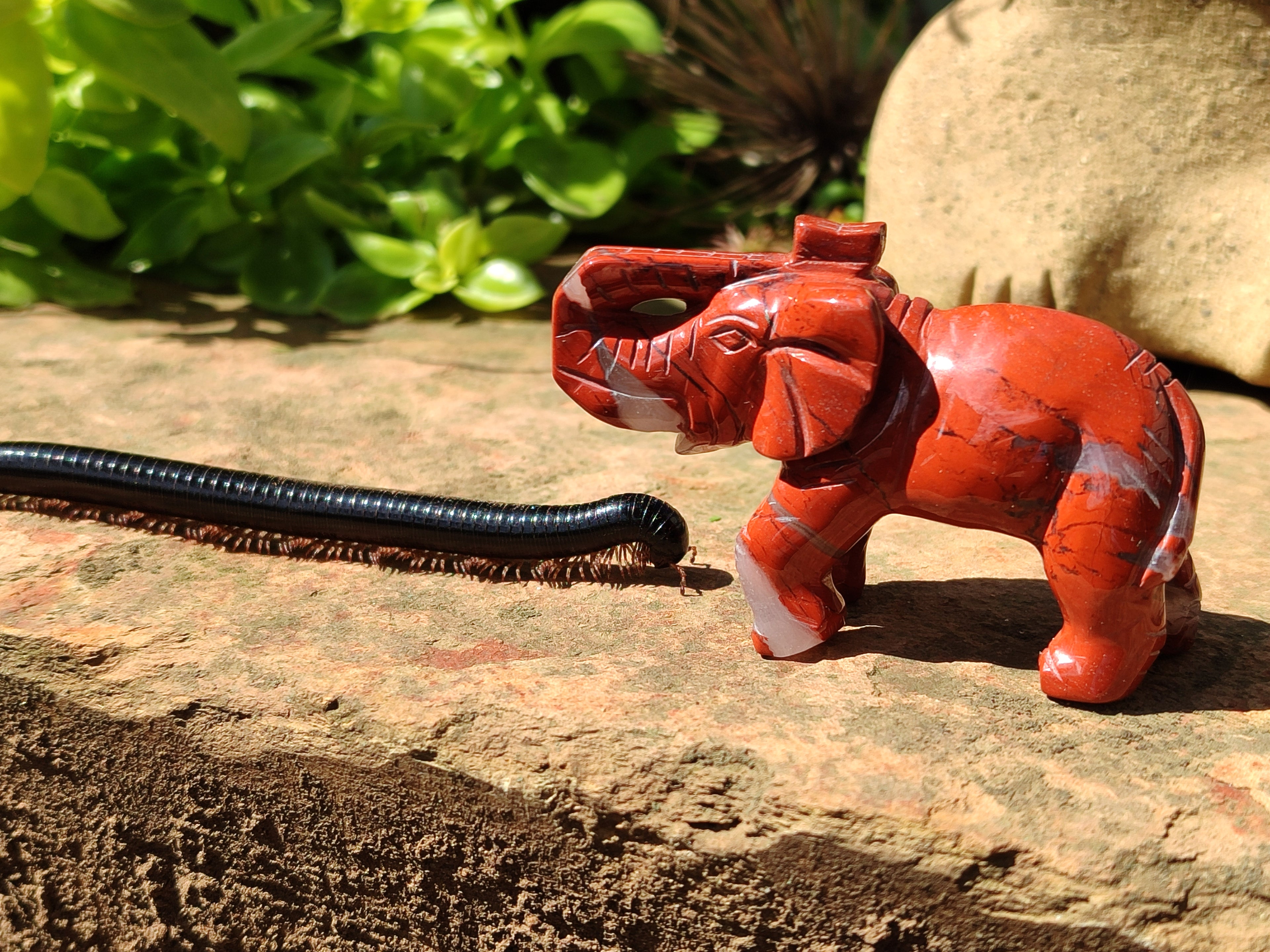 Polished Red Jasper Elephant Carving - sold per item - From South Africa - Toprock Gemstones and Minerals 