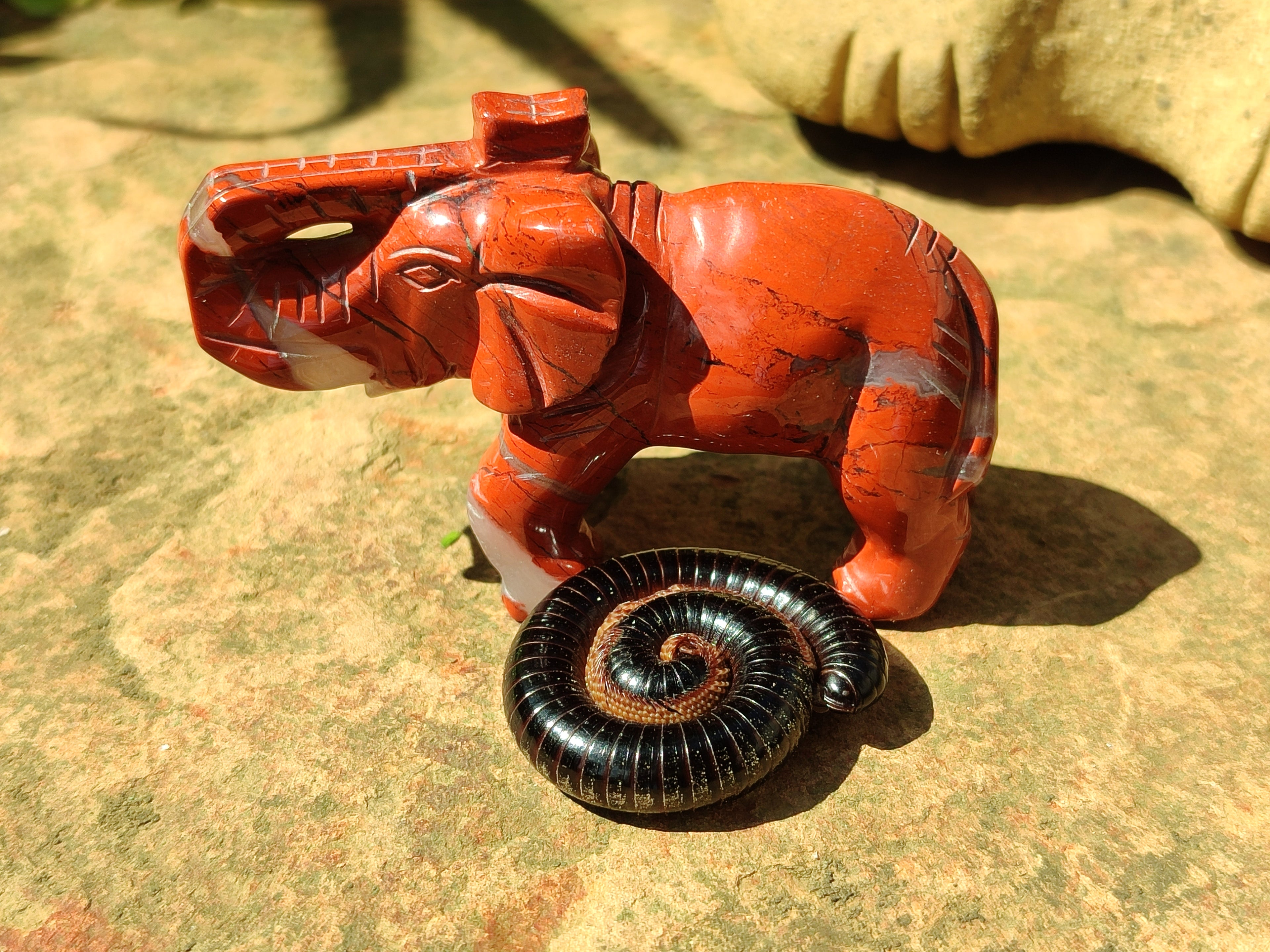Polished Red Jasper Elephant Carving - sold per item - From South Africa - Toprock Gemstones and Minerals 