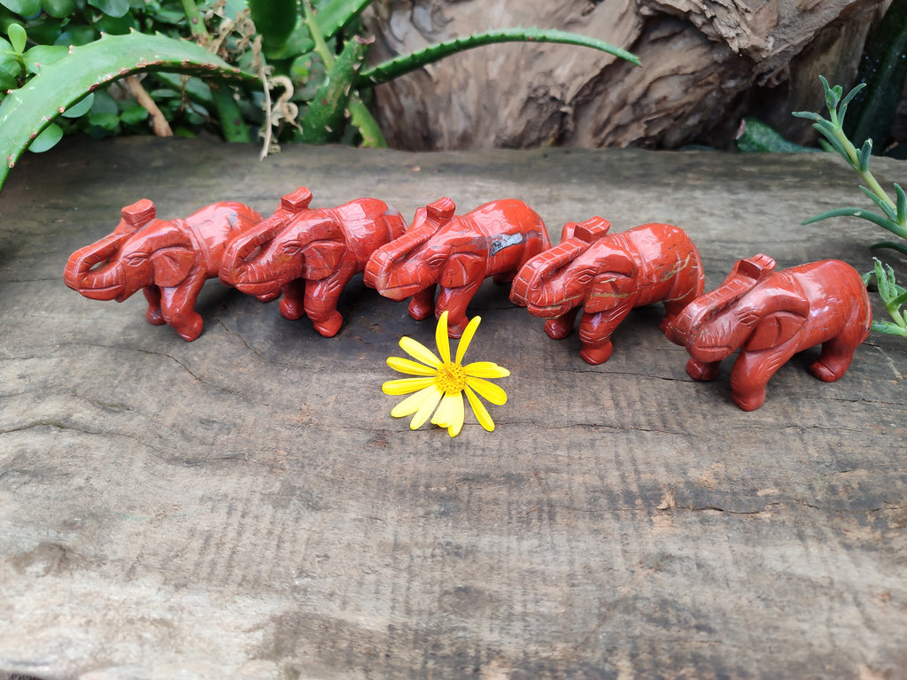 Polished Red Jasper Elephant Carving - sold per item - From South Africa - Toprock Gemstones and Minerals 