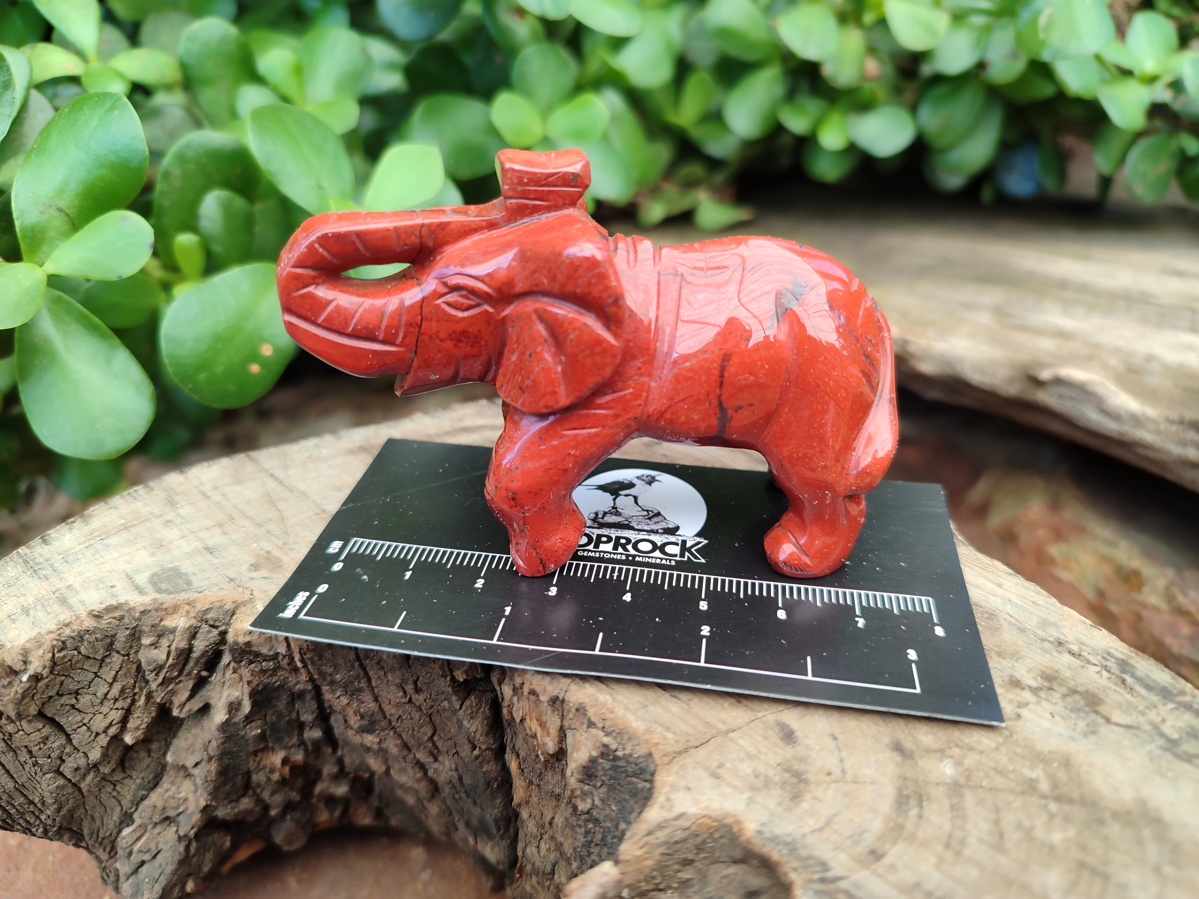 Polished Red Jasper Elephant Carving - sold per item - From South Africa - Toprock Gemstones and Minerals 