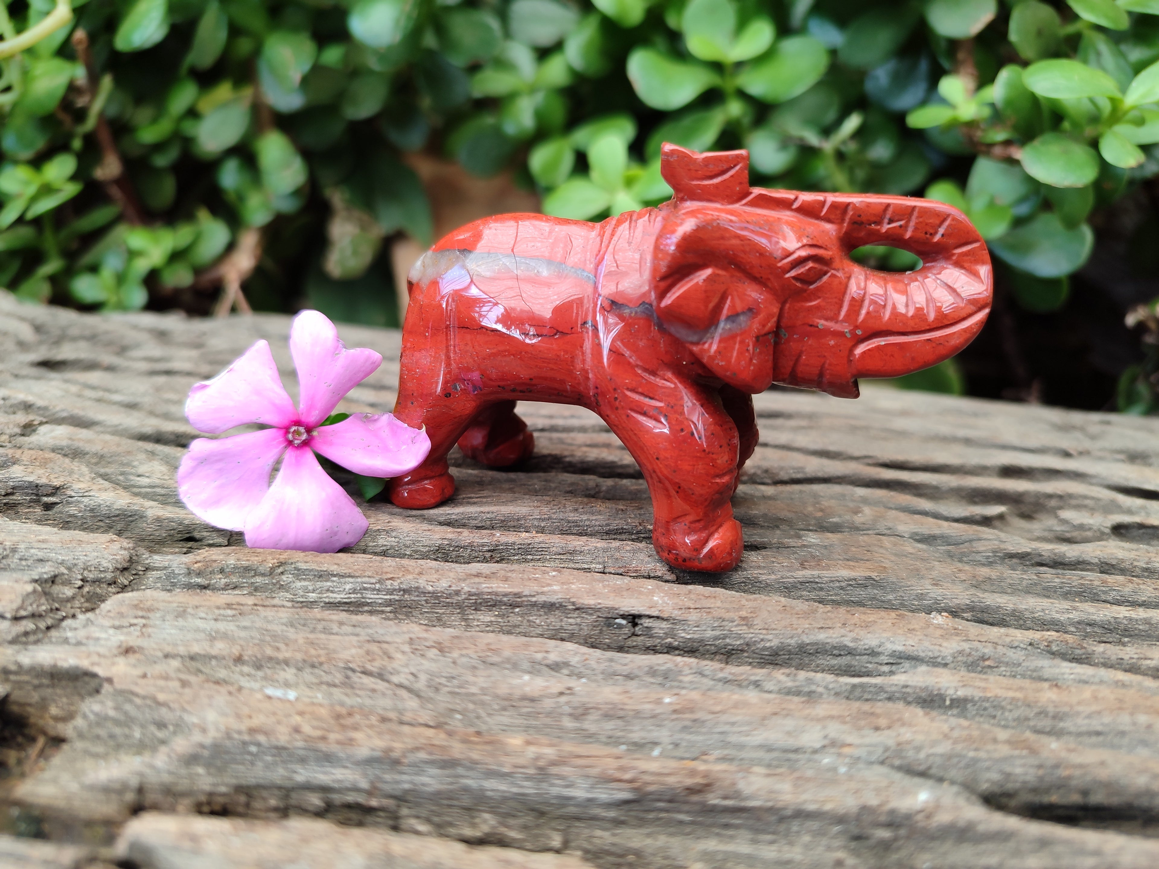Polished Red Jasper Elephant Carving - sold per item - From South Africa - Toprock Gemstones and Minerals 