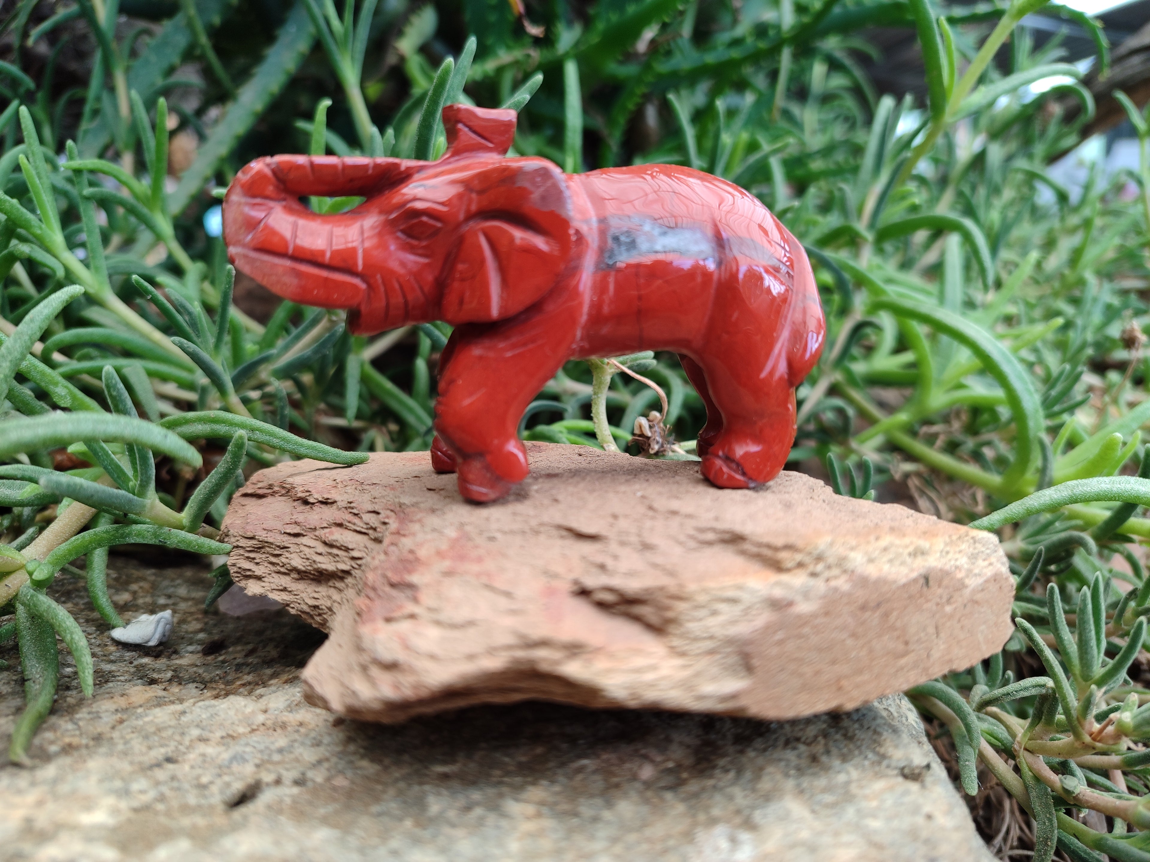Polished Red Jasper Elephant Carving - sold per item - From South Africa - Toprock Gemstones and Minerals 