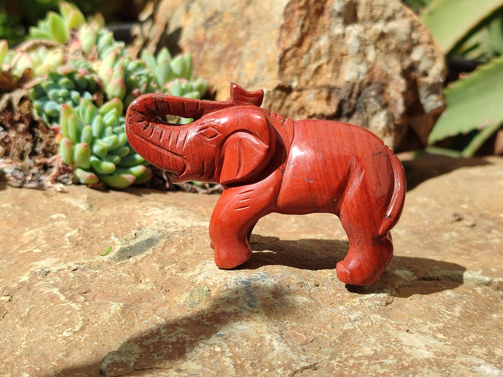 Polished Red Jasper Elephant Carving - sold per item - From South Africa - Toprock Gemstones and Minerals 