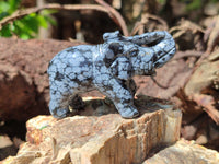 Polished Snowflake Obsidian Elephant Carving - sold per item - From Mexico