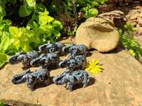 Polished Snowflake Obsidian Elephant Carving - sold per item - From Mexico