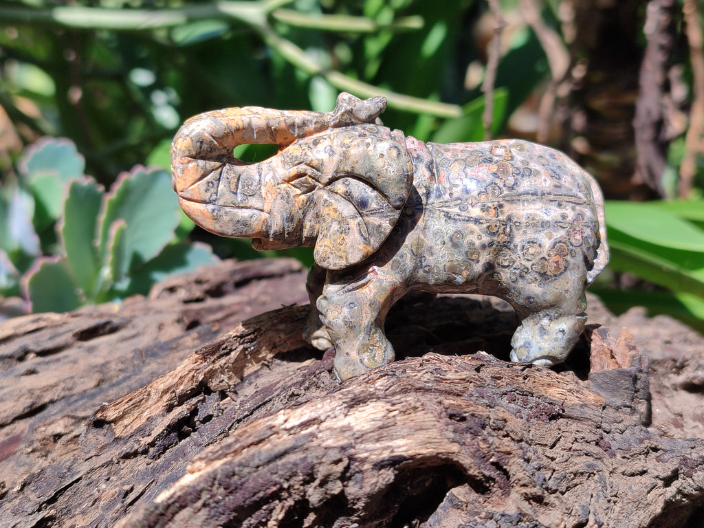 Polished Snakeskin Rhyolite Jasper Elephant Carving - sold per item - From Australia - Toprock Gemstones and Minerals 