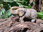 Polished Snakeskin Rhyolite Jasper Elephant Carving - sold per item - From Australia - Toprock Gemstones and Minerals 