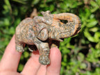 Polished Snakeskin Rhyolite Jasper Elephant Carving - sold per item - From Australia - Toprock Gemstones and Minerals 
