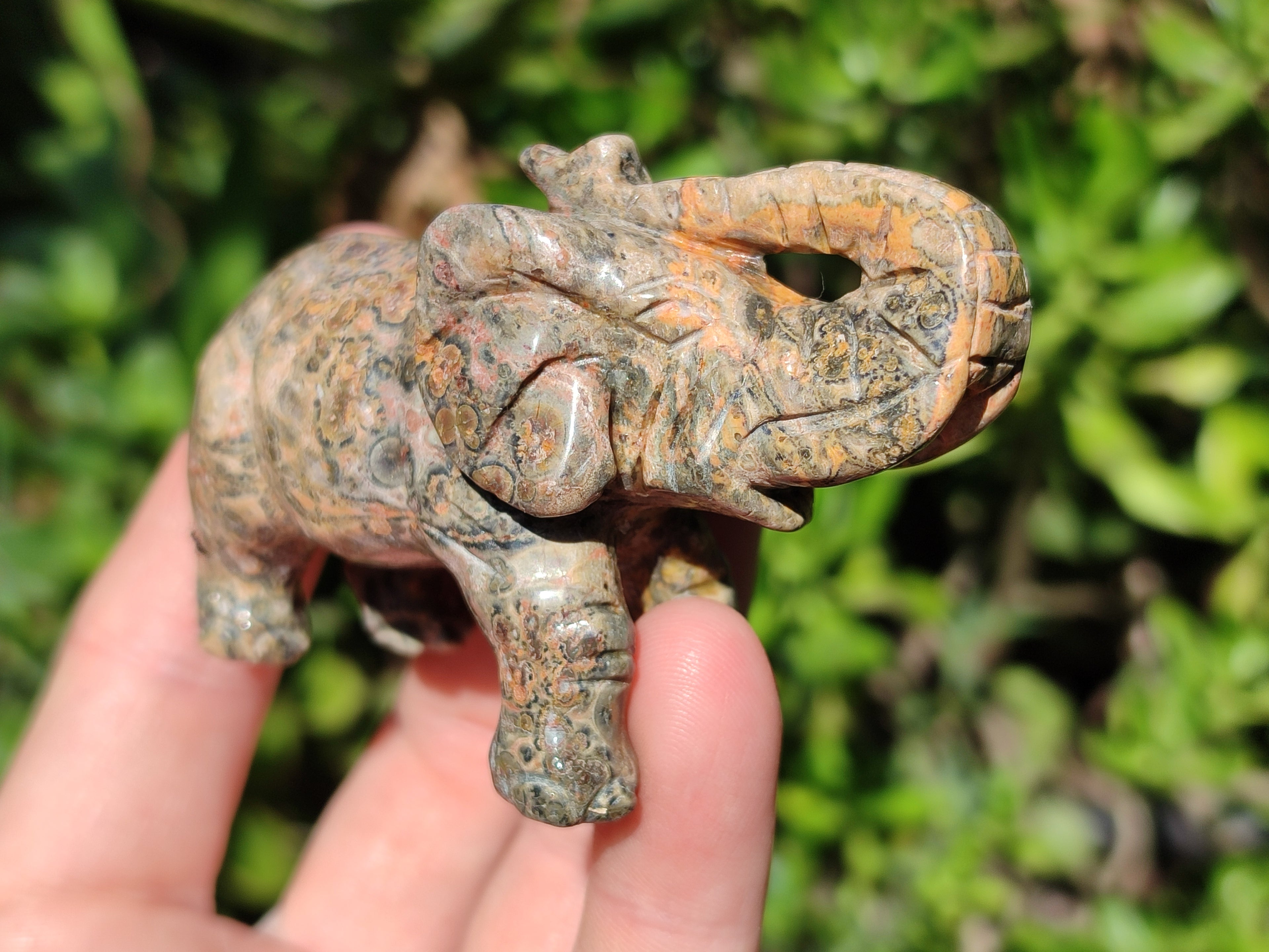 Polished Snakeskin Rhyolite Jasper Elephant Carving - sold per item - From Australia - Toprock Gemstones and Minerals 