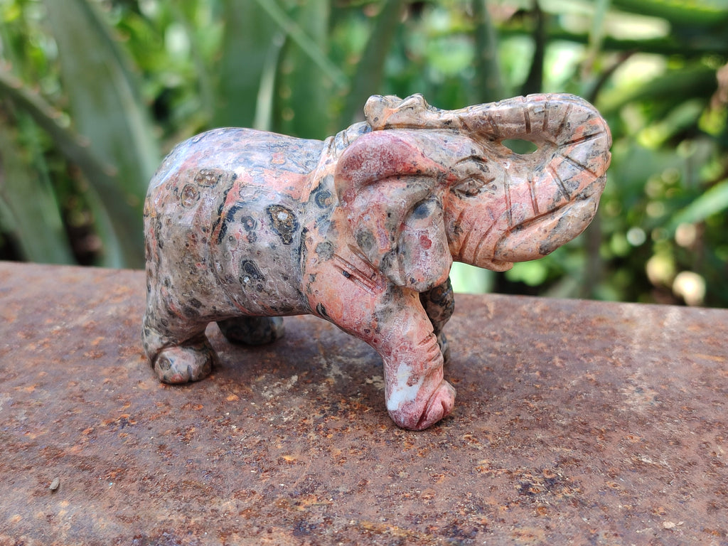 Polished Snakeskin Rhyolite Jasper Elephant Carving - sold per item - From Australia - Toprock Gemstones and Minerals 