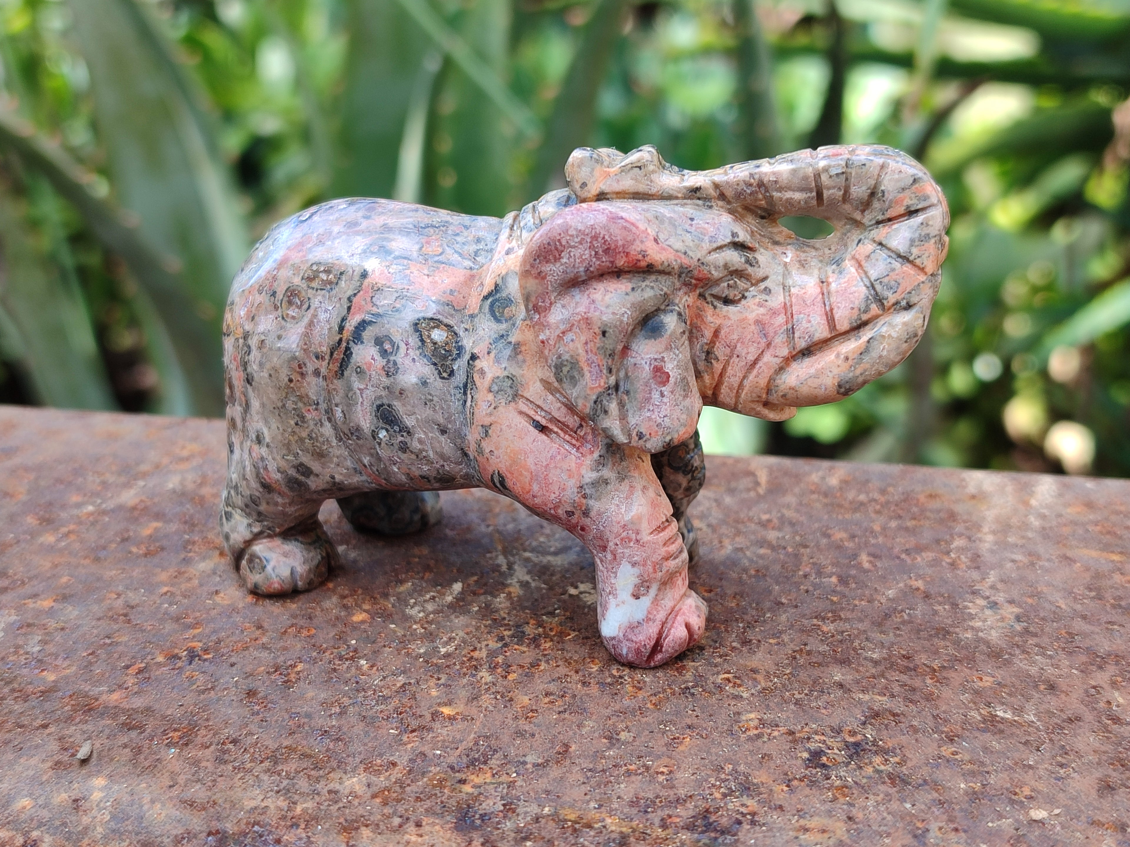Polished Snakeskin Rhyolite Jasper Elephant Carving - sold per item - From Australia - Toprock Gemstones and Minerals 