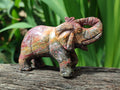 Polished Snakeskin Rhyolite Jasper Elephant Carving - sold per item - From Australia - Toprock Gemstones and Minerals 