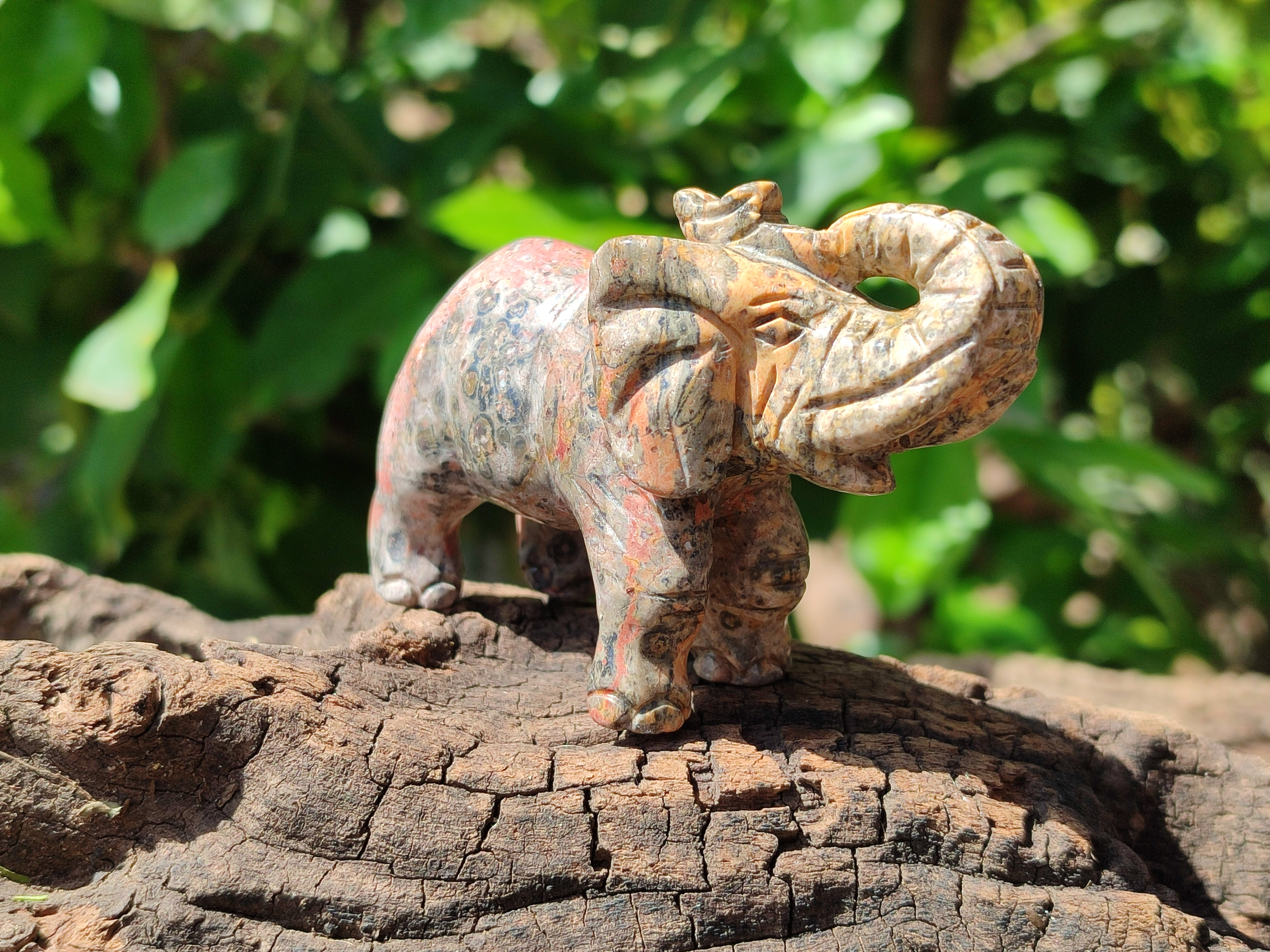 Polished Snakeskin Rhyolite Jasper Elephant Carving - sold per item - From Australia - Toprock Gemstones and Minerals 