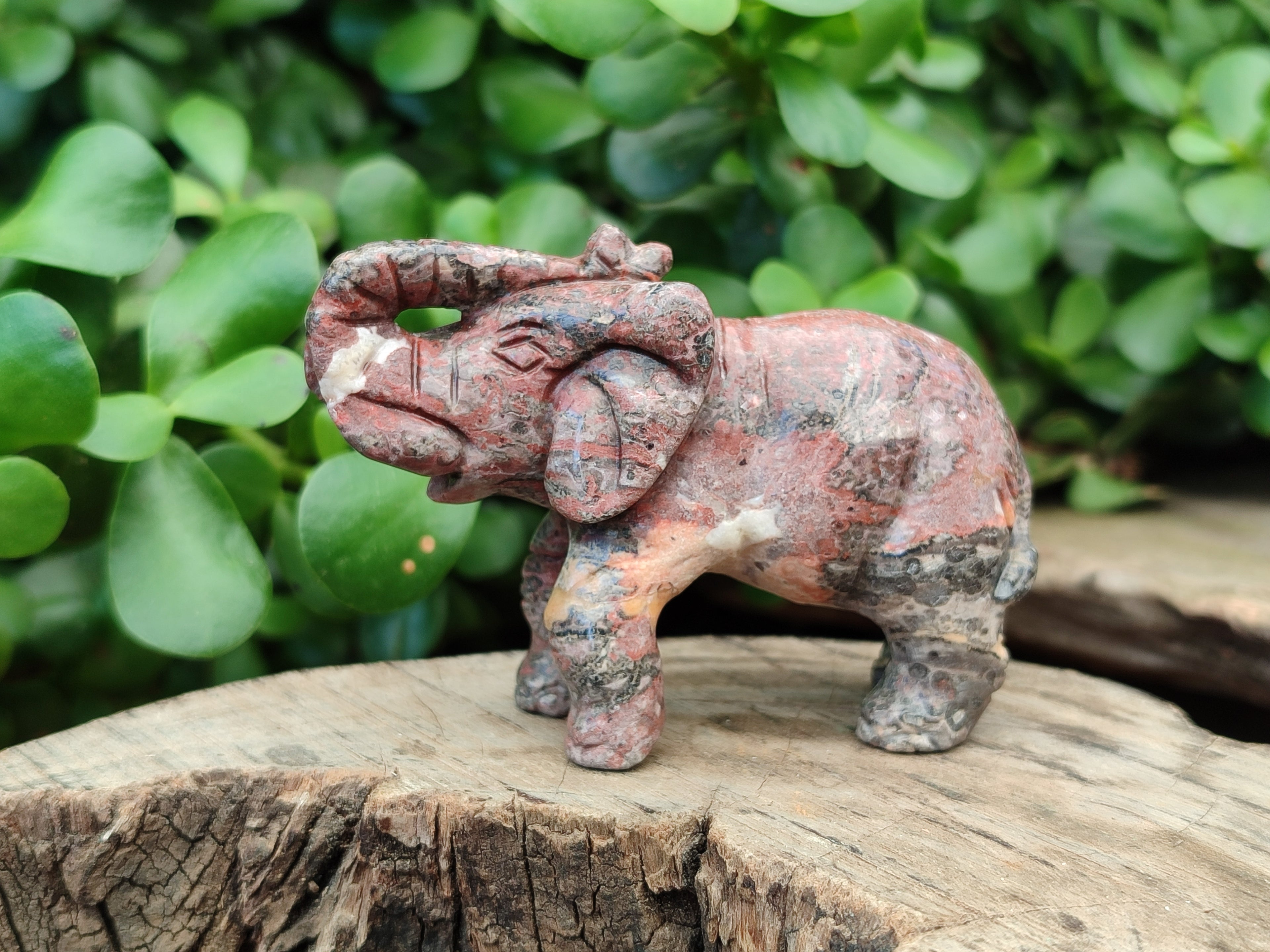 Polished Snakeskin Rhyolite Jasper Elephant Carving - sold per item - From Australia - Toprock Gemstones and Minerals 