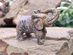 Polished Snakeskin Rhyolite Jasper Elephant Carving - sold per item - From Australia - Toprock Gemstones and Minerals 