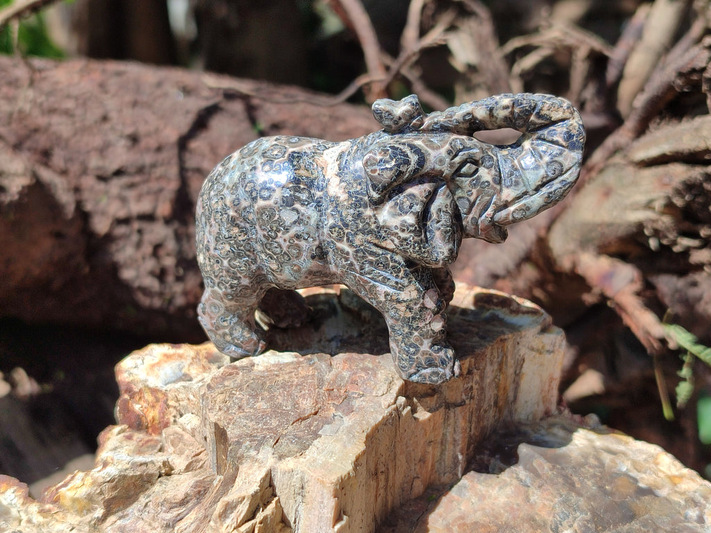 Polished Snakeskin Rhyolite Jasper Elephant Carving - sold per item - From Australia - Toprock Gemstones and Minerals 