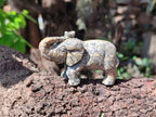 Polished Snakeskin Rhyolite Jasper Elephant Carving - sold per item - From Australia - Toprock Gemstones and Minerals 